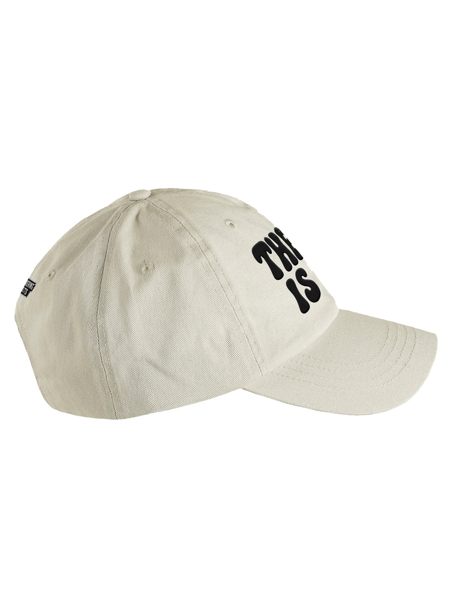The Herd is Here Dad Cap product image (4)