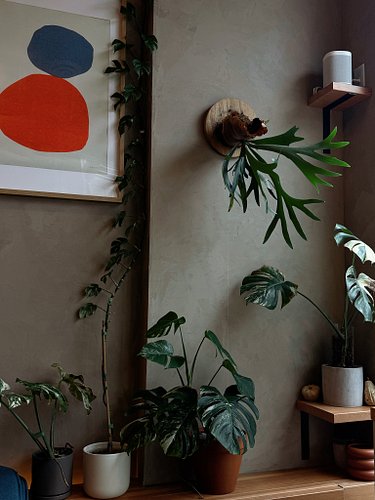 Currently accepting cafe recommendations 🌿

#cafe #vancouvercafe #kitsilano #kitsilanobeach #japanesecafe