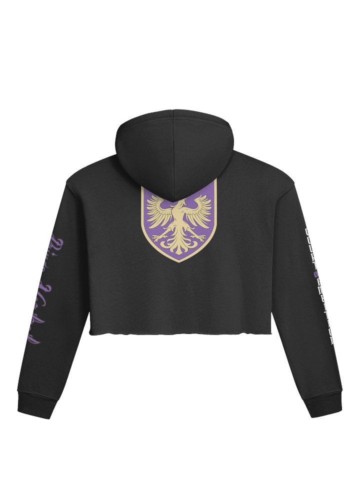 Court of Ambition Crop Hoodie product image (1)
