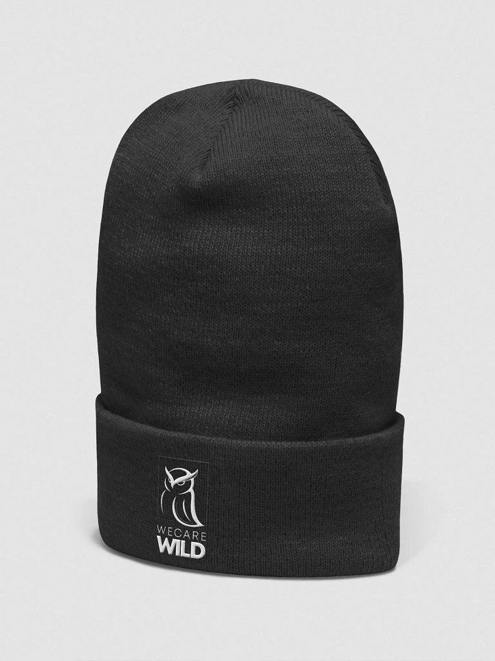 Cuffed Beanie product image (6)