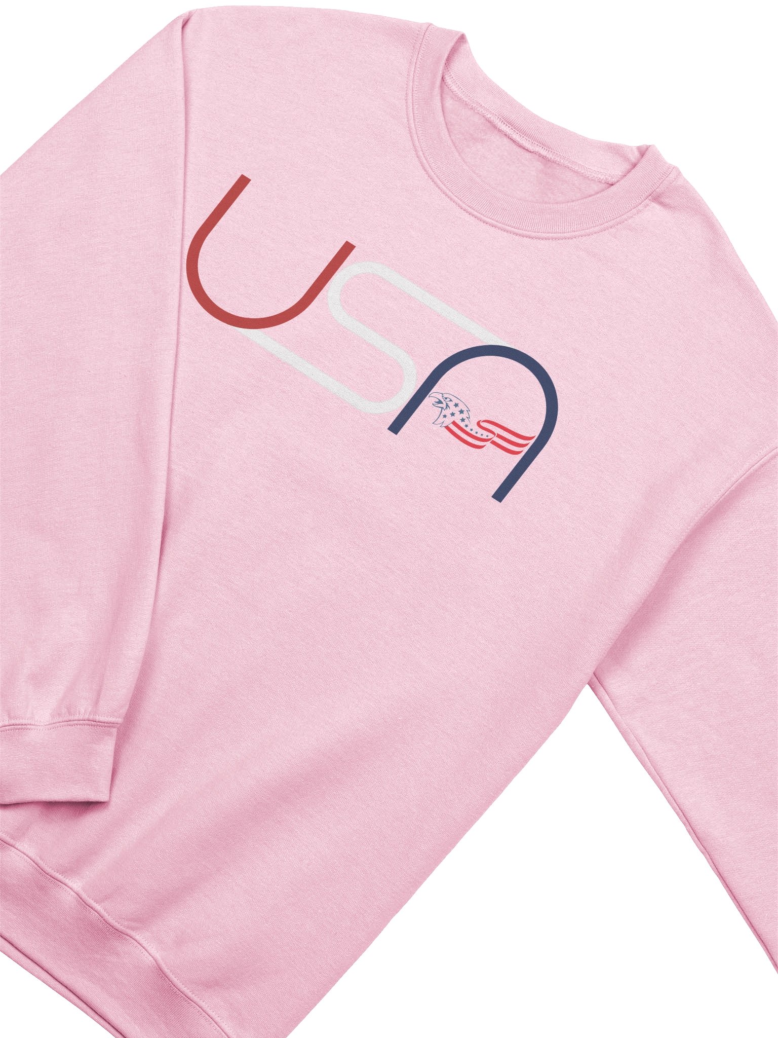 Winged USA Crewneck Sweatshirt product image (2)