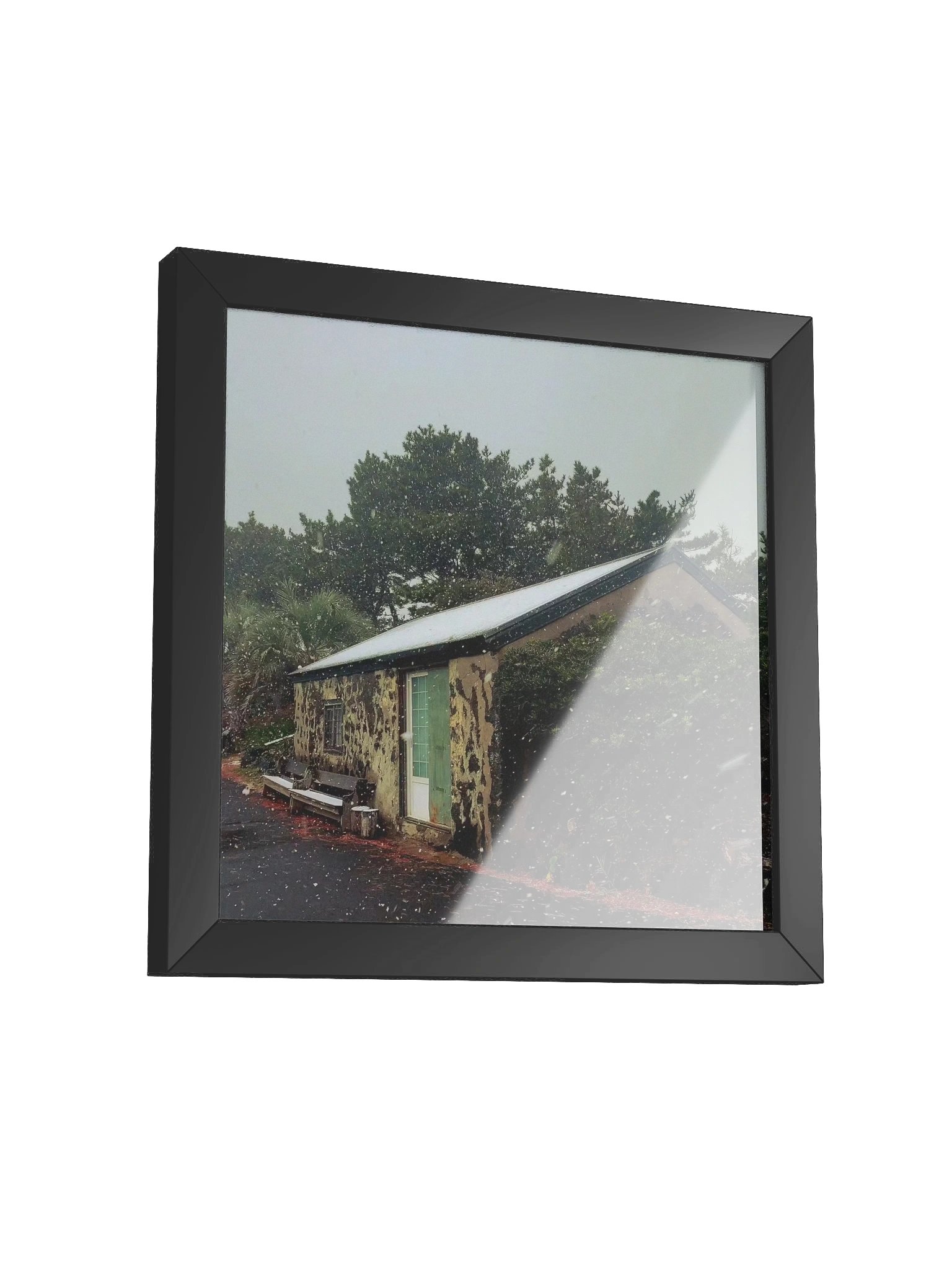 Winter product image (3)