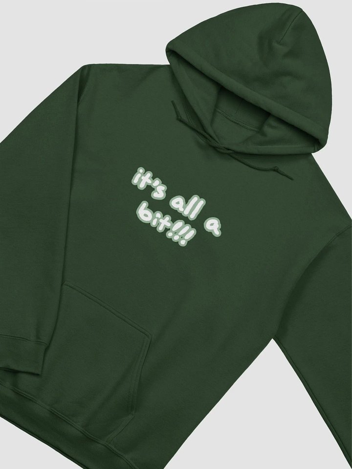 “It’s all a bit!!!” (lined design, #96B697) classic hoodie product image (19)
