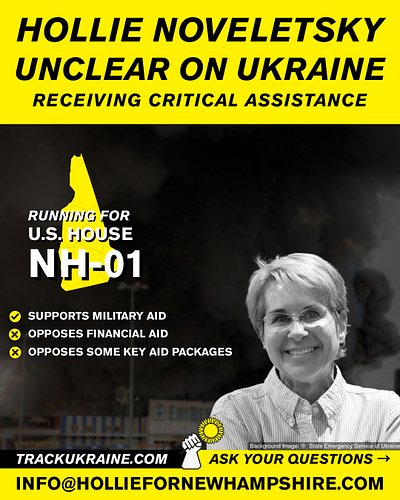 Hollie Noveletsky @holliefornh is running in New Hampshire's 1st Congressional District [NH-01]'s Republican primary.

✅Suppo...