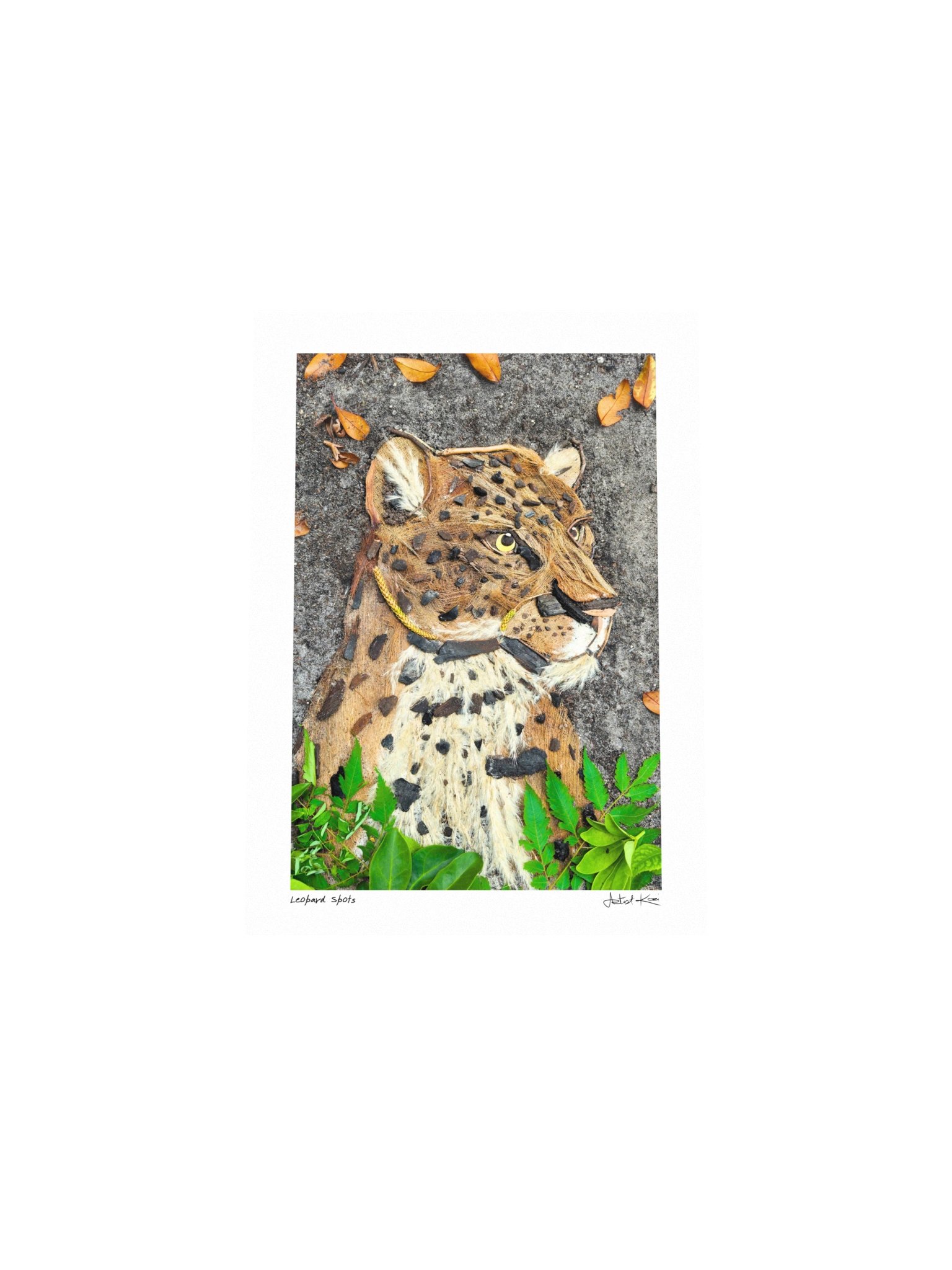 LEOPARD SPOTS | Mini Print product image (4)
