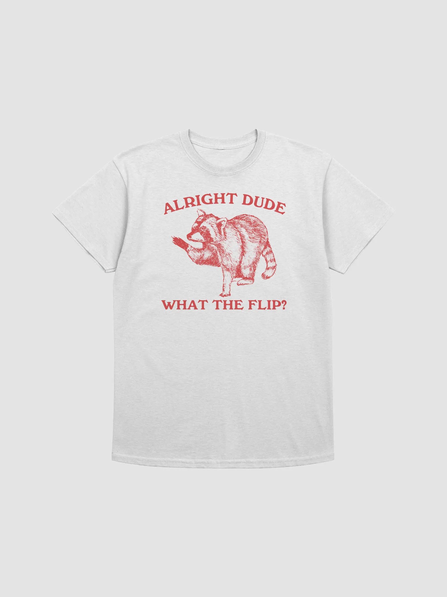 Alright dude what the flip raccoon product image (1)
