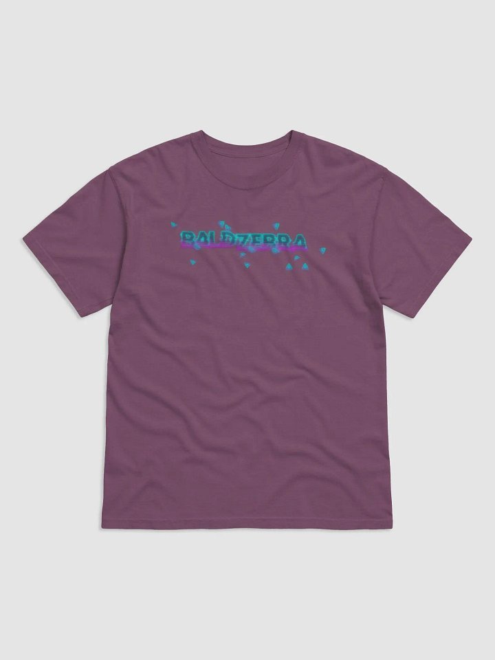 BaldZebra 2024 Concert T product image (5)