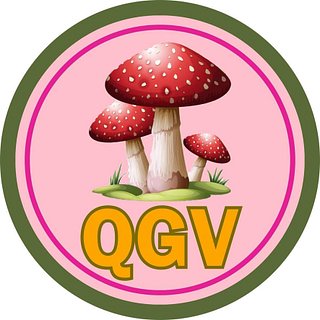 Quirky Groovy Vintage
