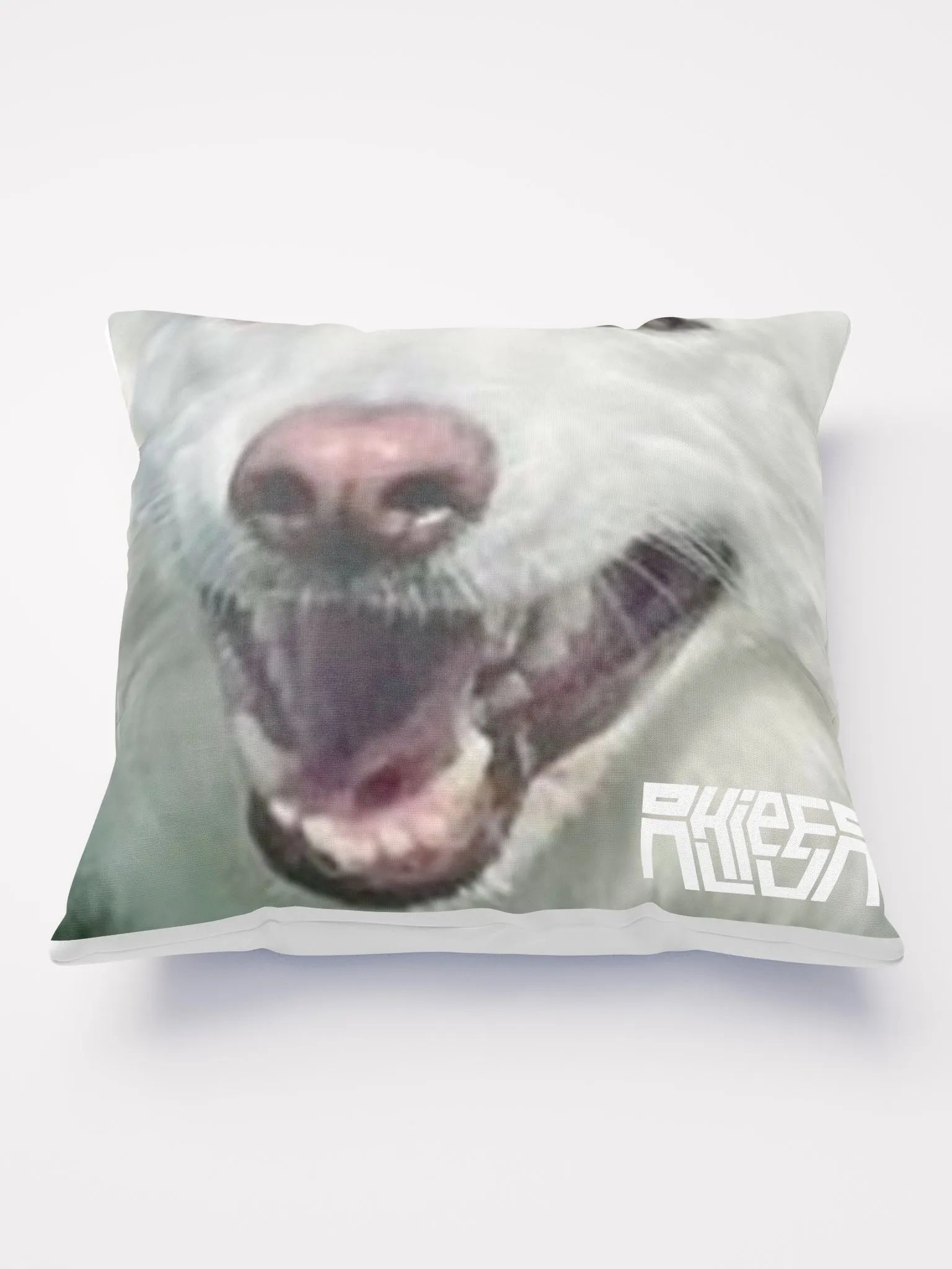Dallas HEYYOUGUYS Pillow product image (3)