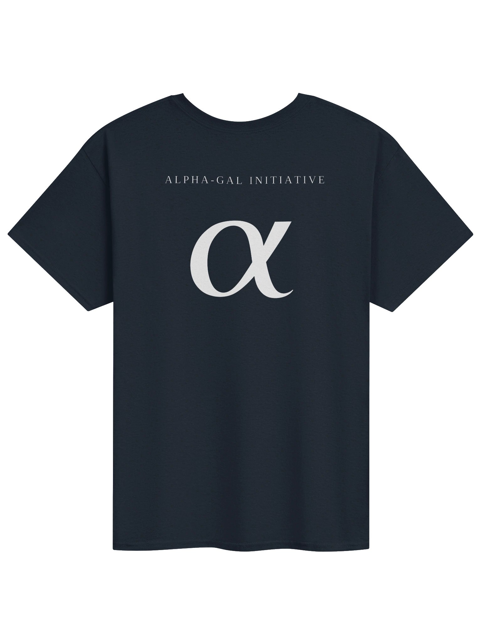 Navy / White Heavyweight Unisex T-Shirt product image (2)