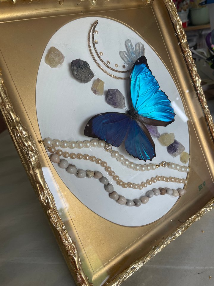 Butterfly- Morpho product image (1)