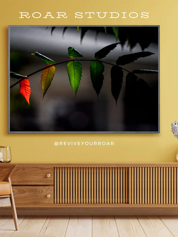 A Rainless Rainbow product image (1)