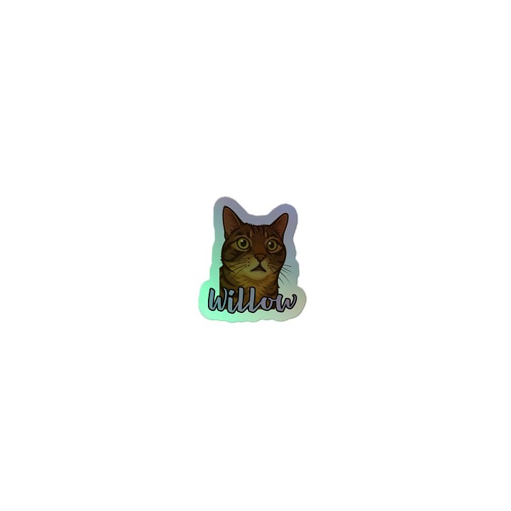 Willow holographic sticker product image (1)