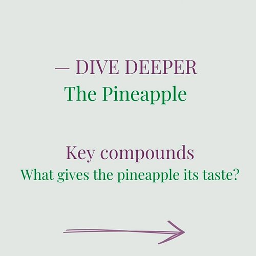 Dive deeper: The Pineapple