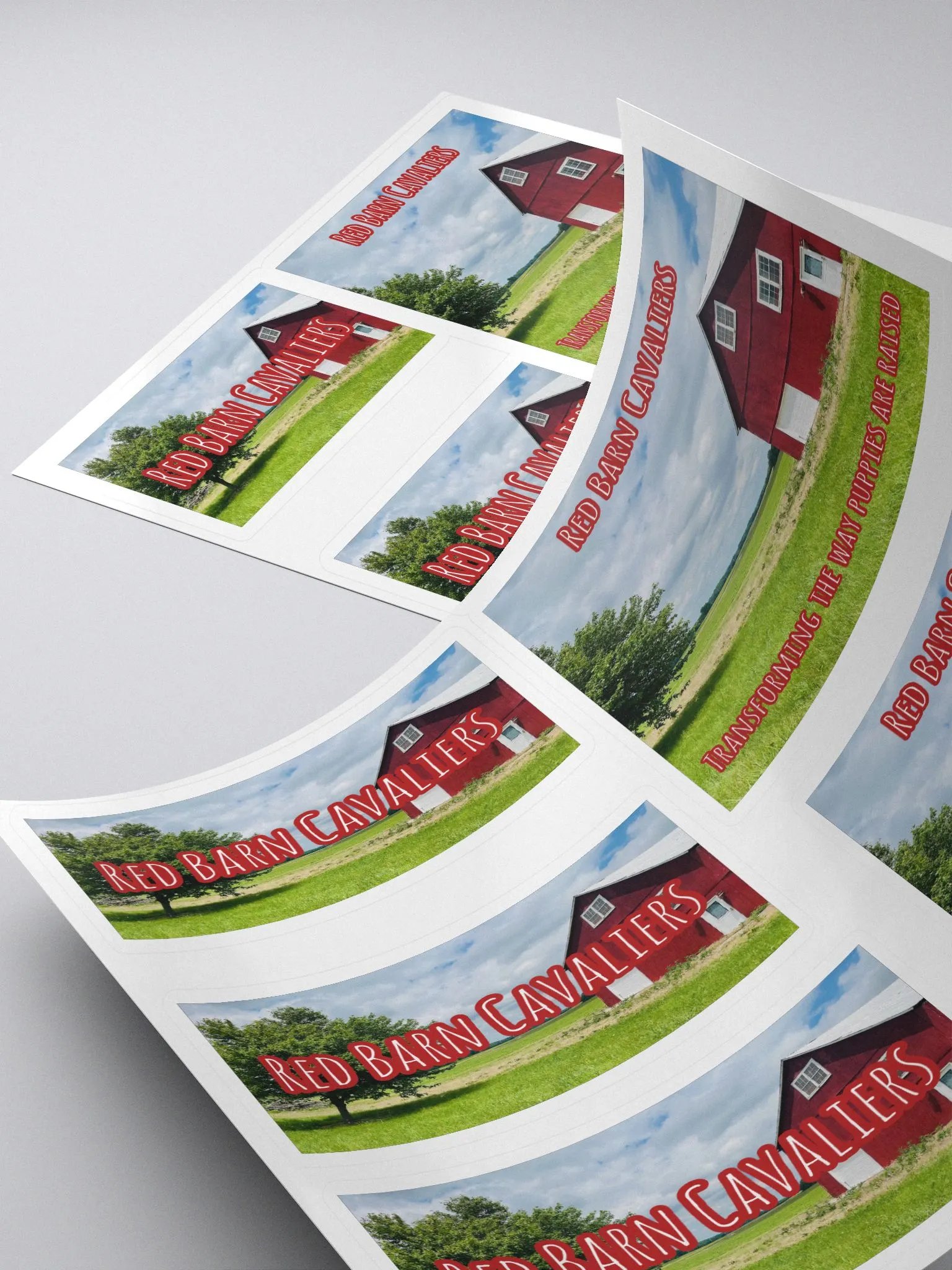 RBC Logo Sticker Set product image (1)