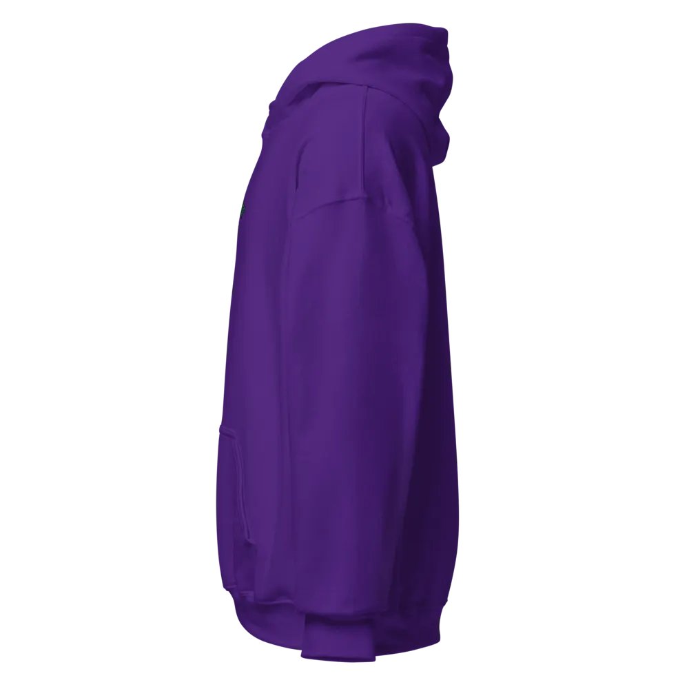 Oulaw of The Galaxy Hoodie product image (39)