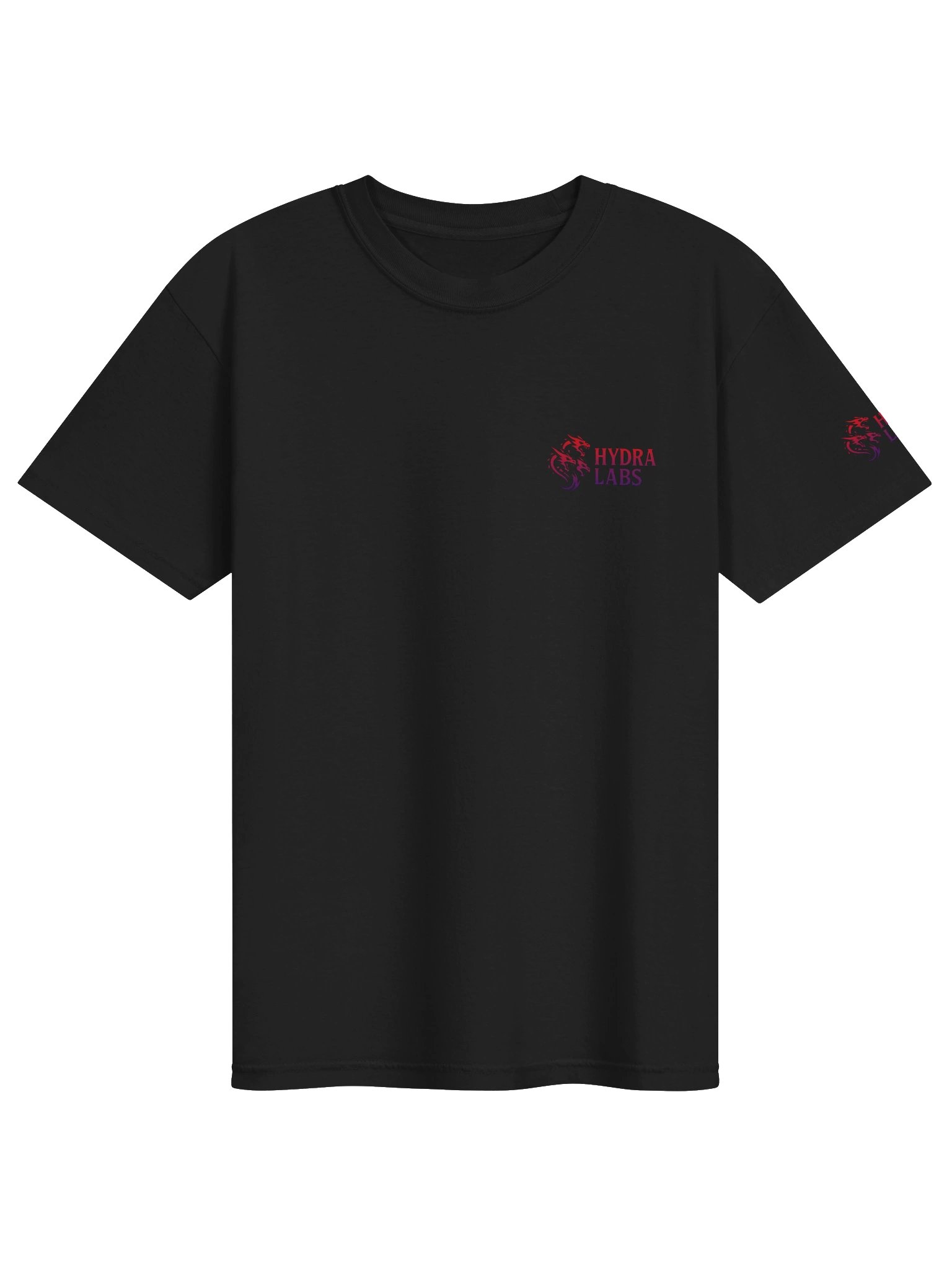 HYDRA LABS Gradient Logo Tee product image (1)