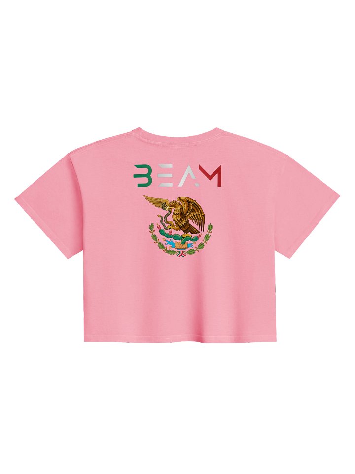 BEAM MEXICAN FLAG CROP TOP product image (38)