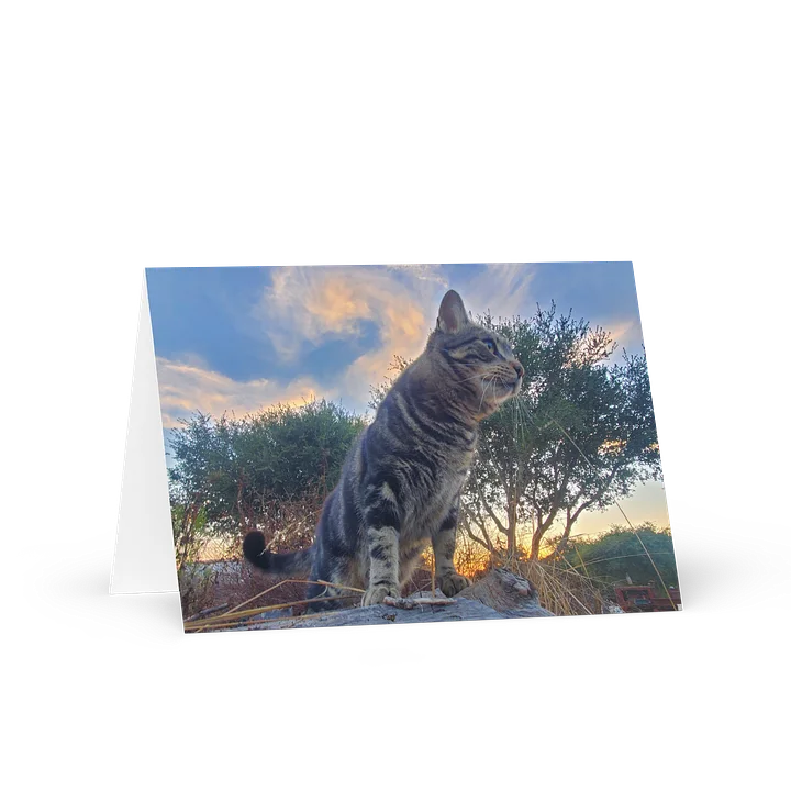 Purrsie's Golden Hour Greeting Card product image (1)