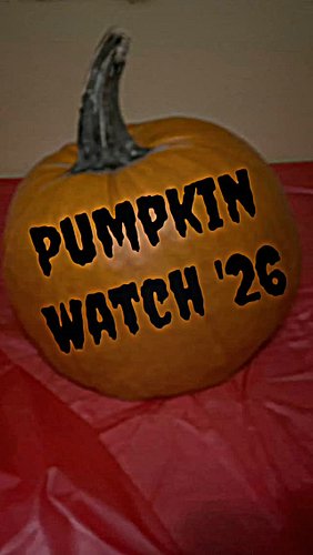 #qftv #pumpkinwatch #halloween