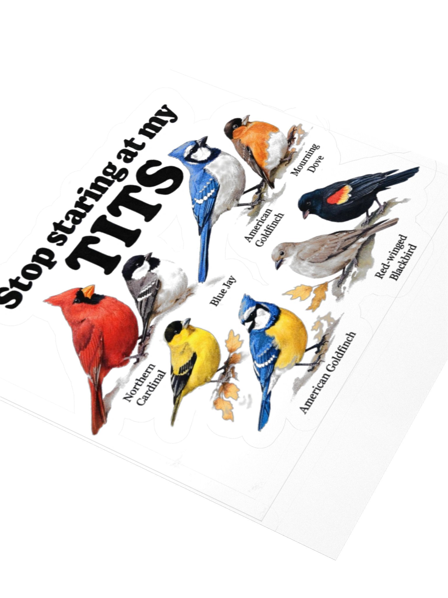 Stop Staring At My Tits Sticker product image (3)