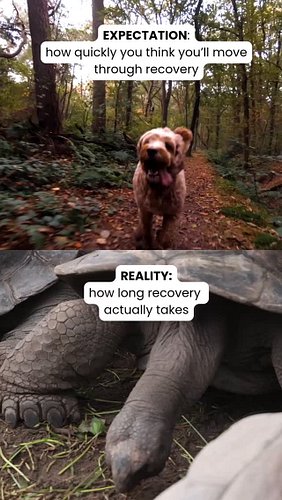 Expectation: “I’ll get help and be recovered in six weeks.”
Reality: unpacking the same fear for the 47th time in therapy and...