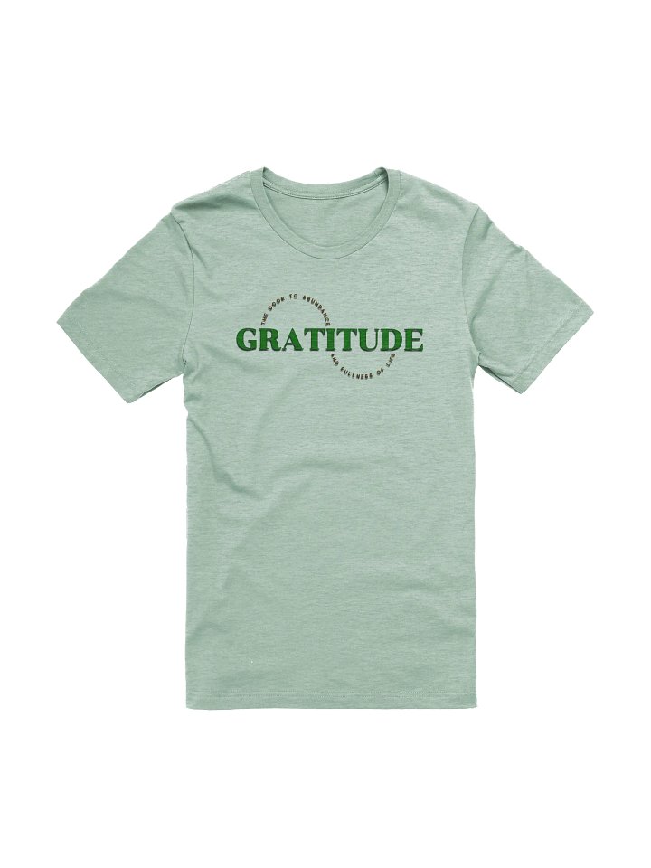 Gratitude Abundance Tee product image (1)
