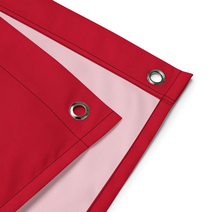 Coach Winner's Flag product image (2)