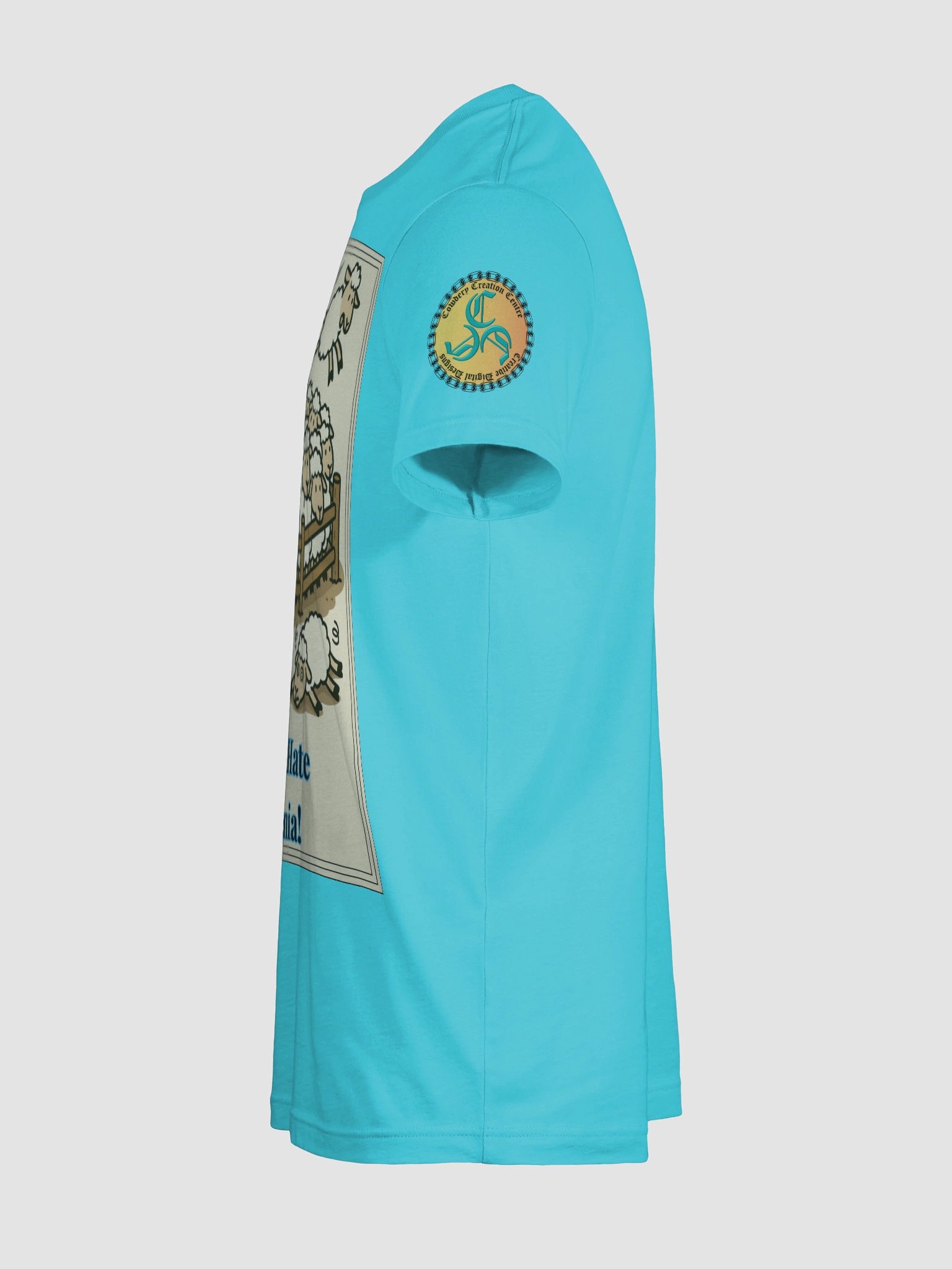 I Really Hate Insomnia (Both) Bella+Canvas Supersoft T-Shirt Colors (6) product image (113)