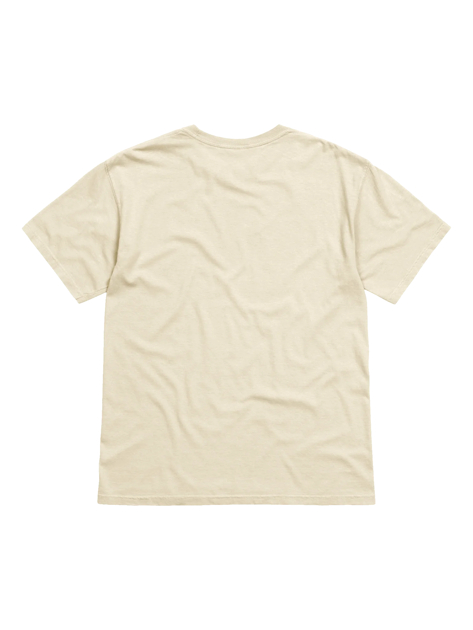 LSD Book Tee (Comfort Colors) product image (2)