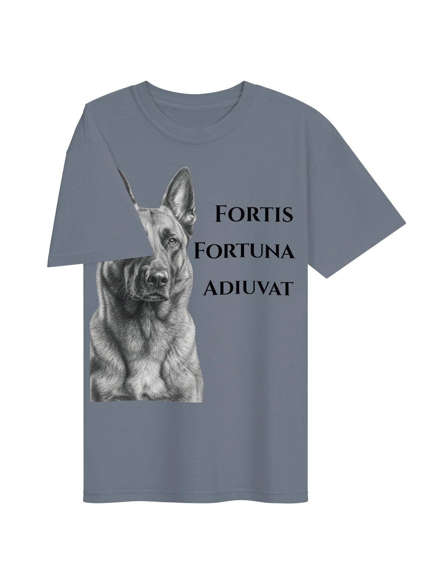 Fortune Favors the Bold product image (20)