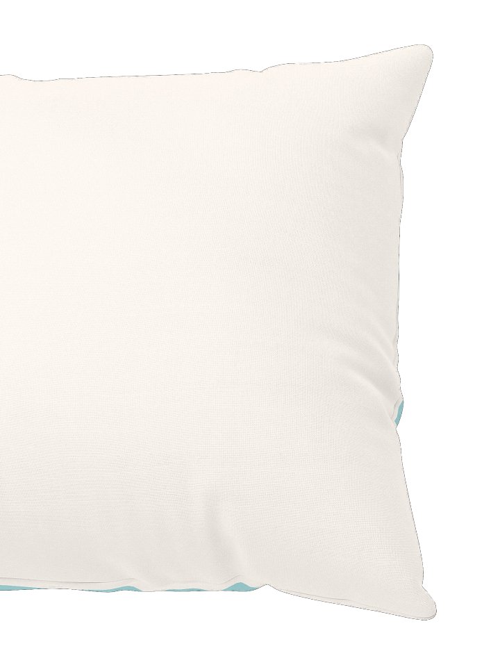 Catty Corner Ayla & Lucca Throw Pillow product image (2)