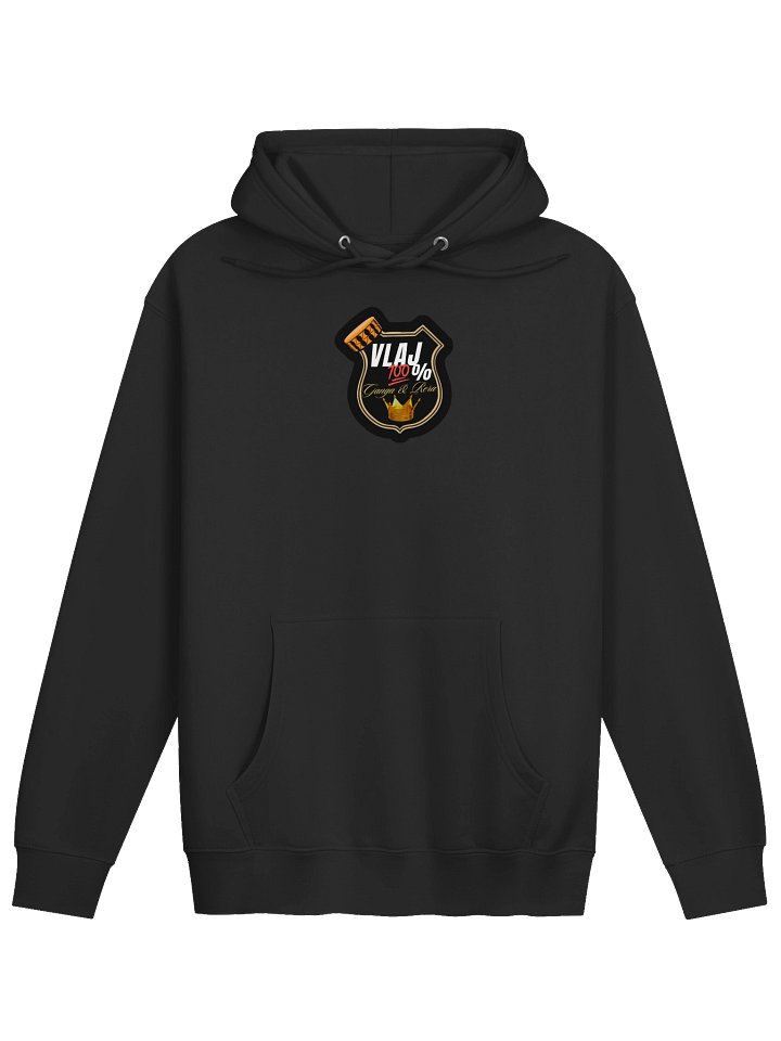 VLAJ 100% Premium Hoodie product image (5)