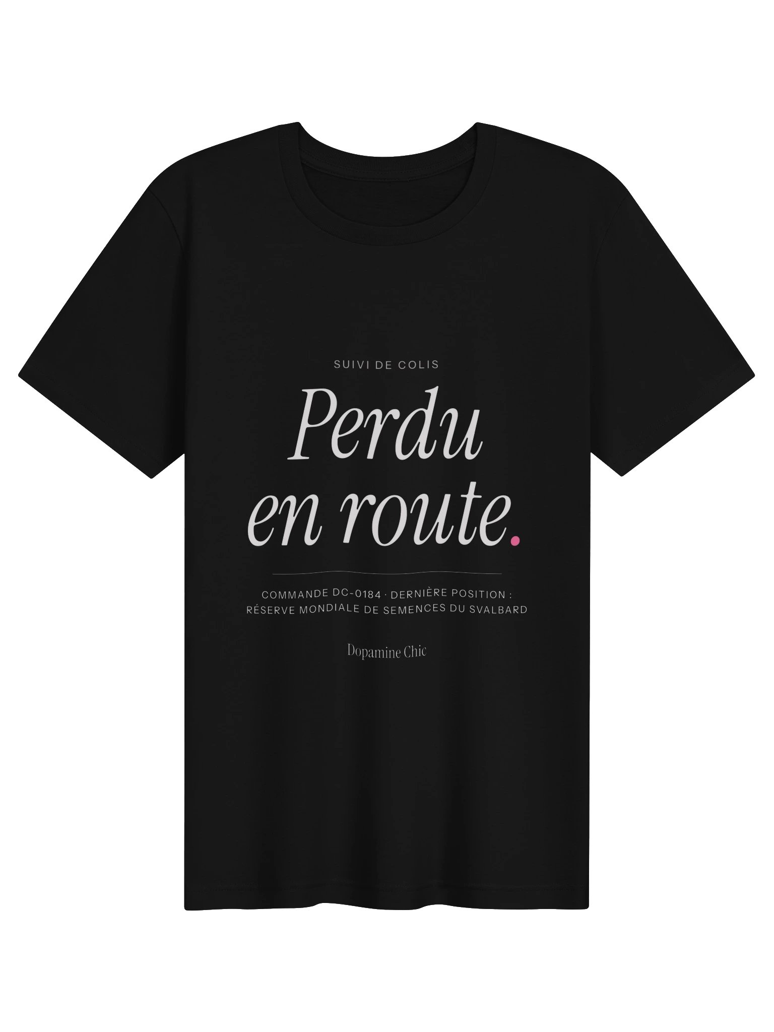 Perdu en route. product image (1)