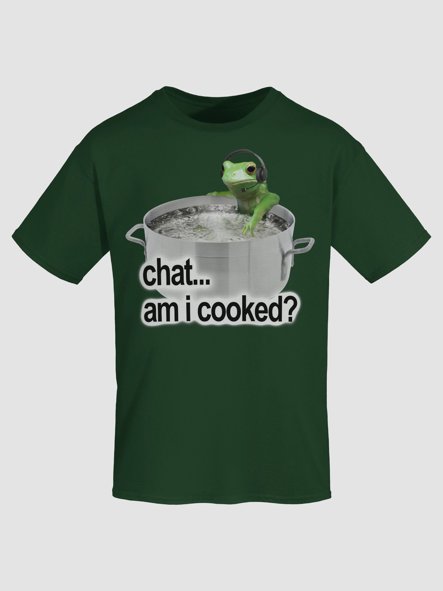 Chat Am I Cooked Frog T-shirt product image (7)