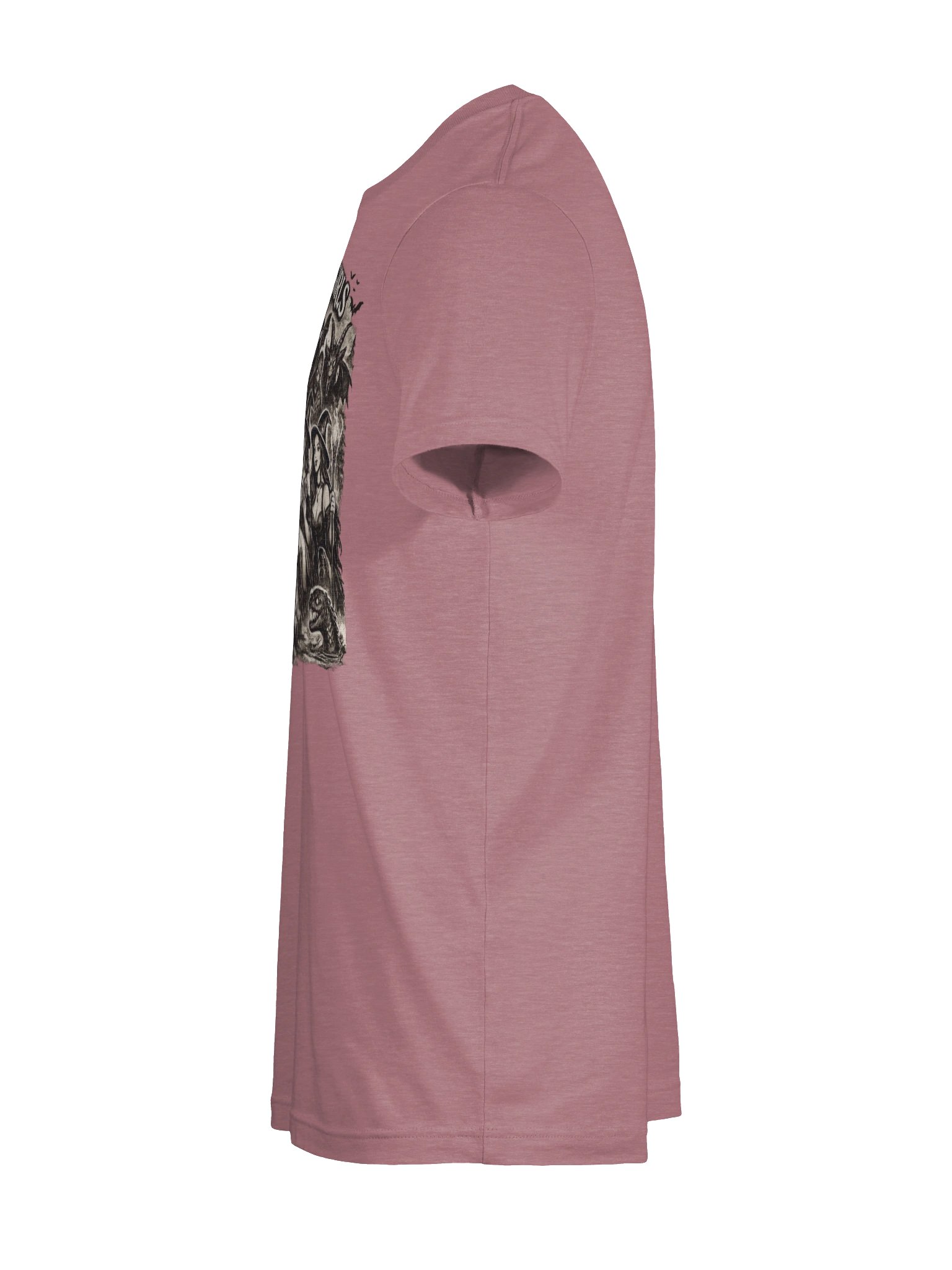 GIRLS WILL BE GIRLS SUPER SOFT T-SHIRT (HEATHERED COLORS PT.2) product image (11)