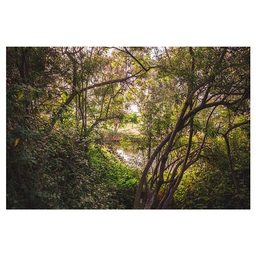Which edit speaks to you more? Color or black & white?

Last night, I found myself sitting on the couch feeling completely ov...