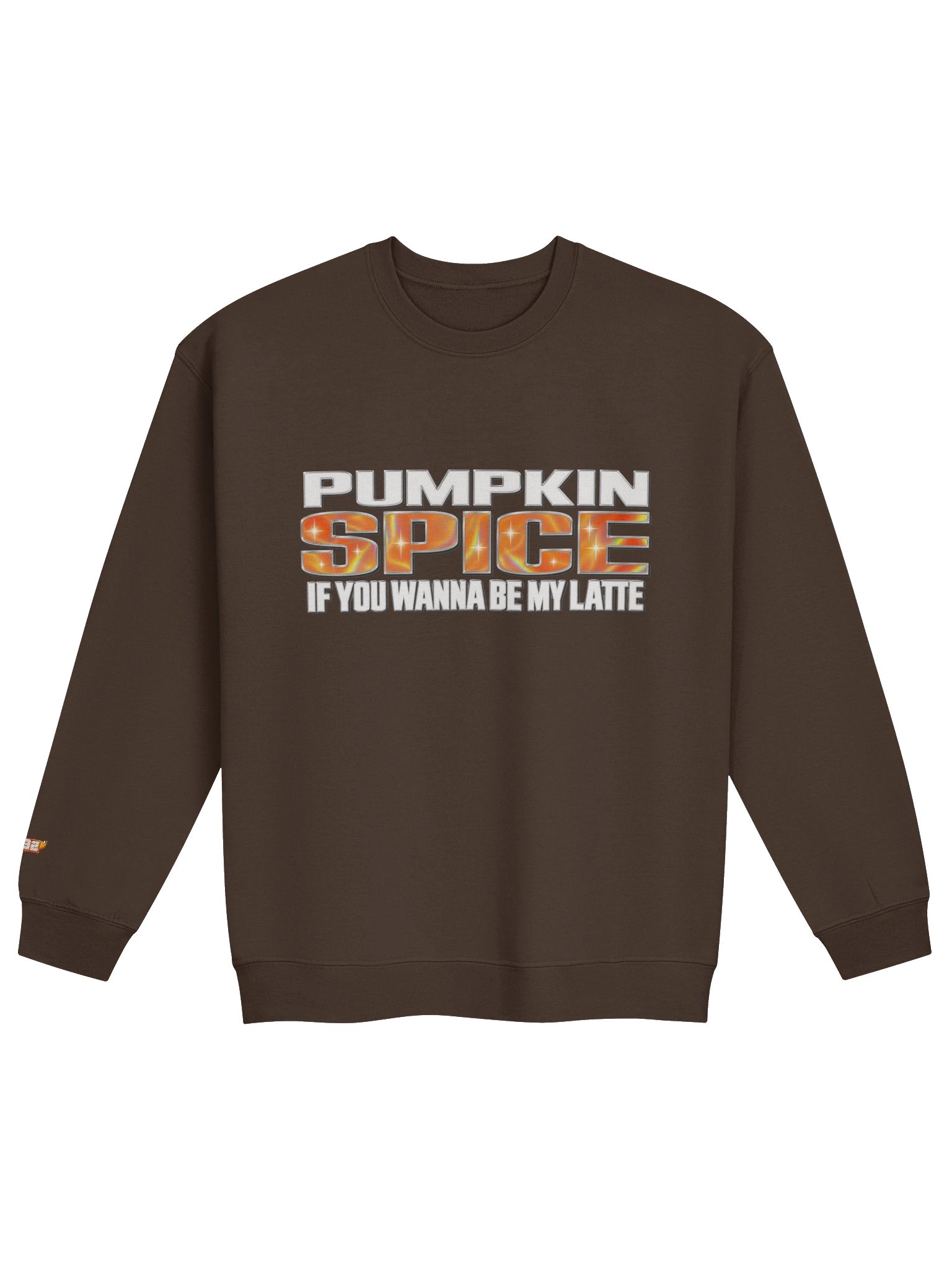 PUMPKIN SPICE SWEATSHIRT product image (1)