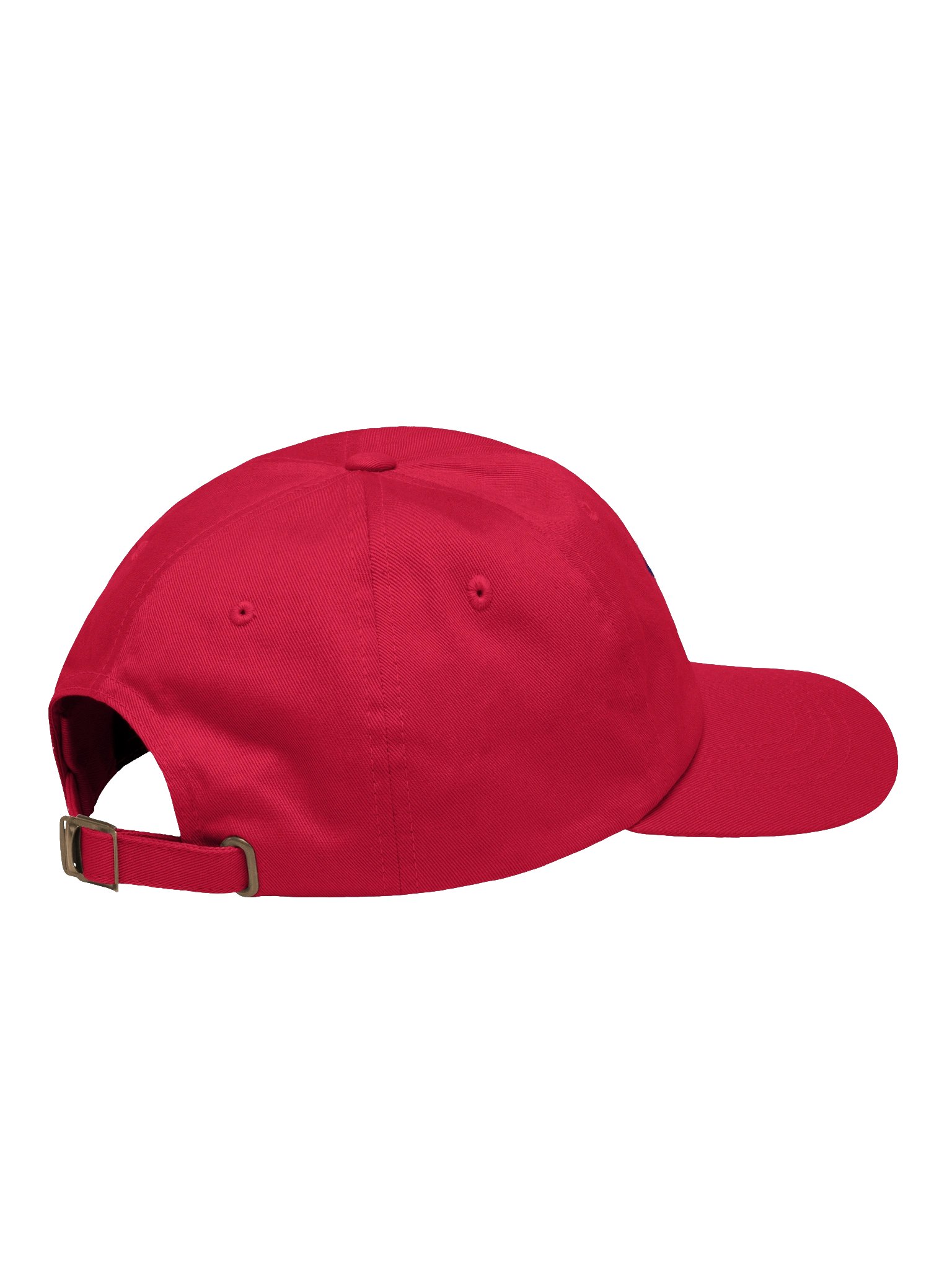 LL Social Co. Coastal Palm Cap — White Palm product image (44)