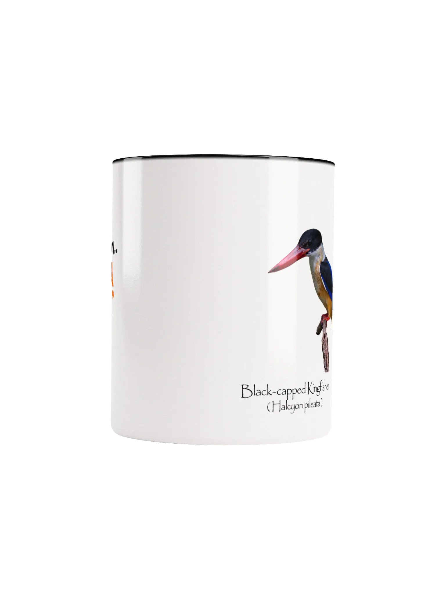 Black-capped Kingfisher mug product image (44)