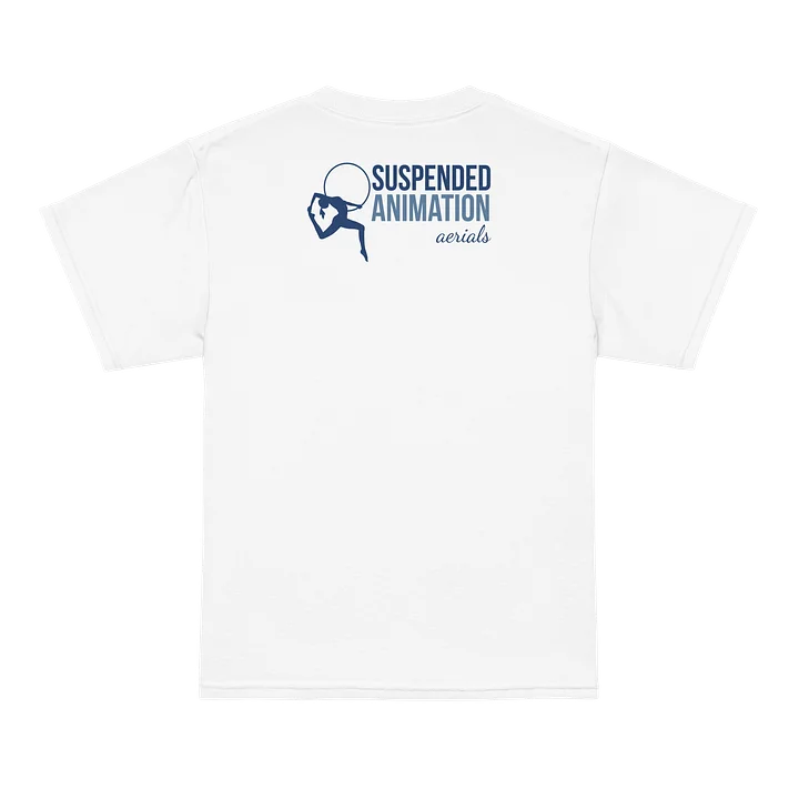 Aerialist Youth T-Shirt product image (2)