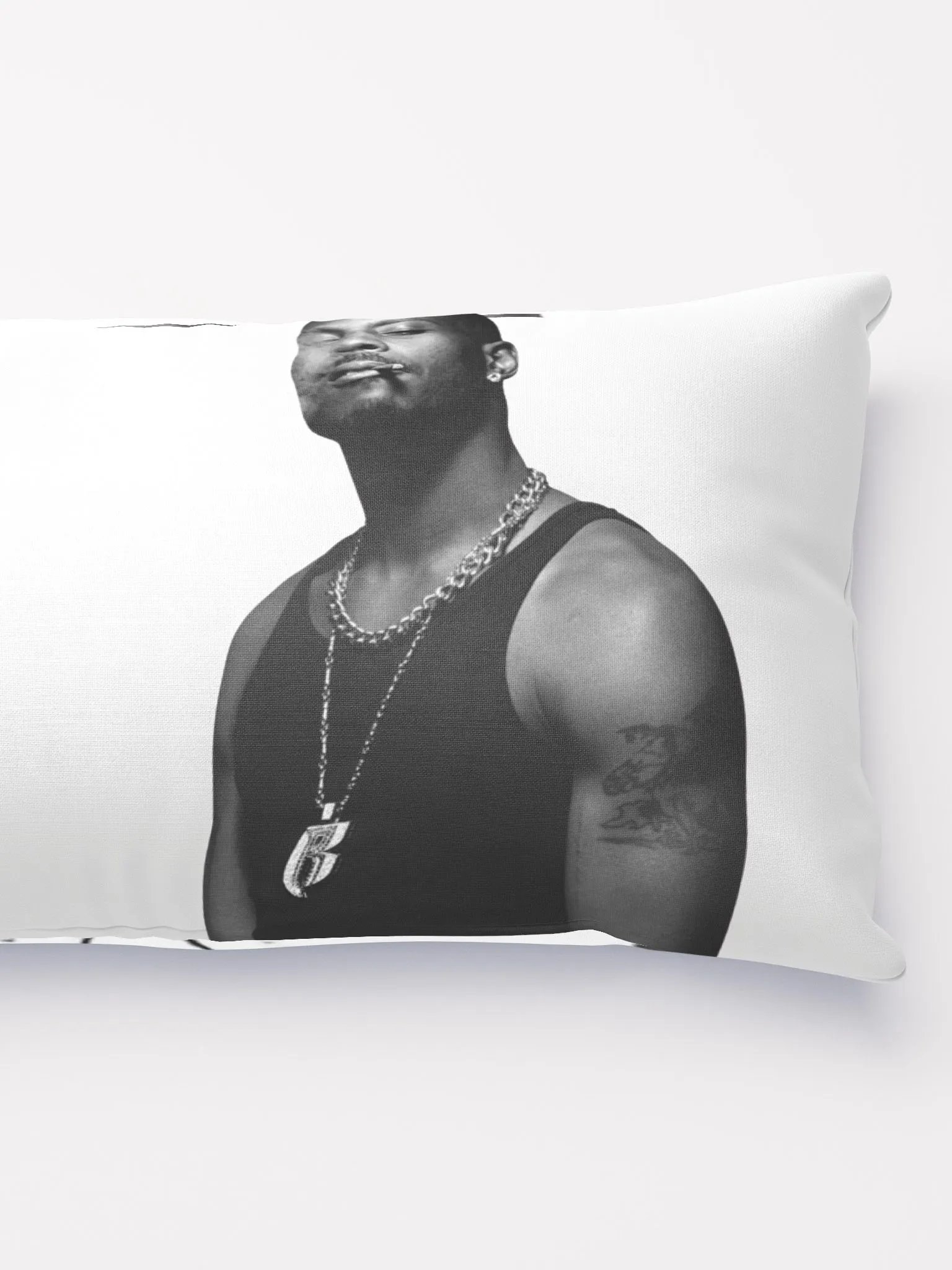DMX | PILLOW product image (1)