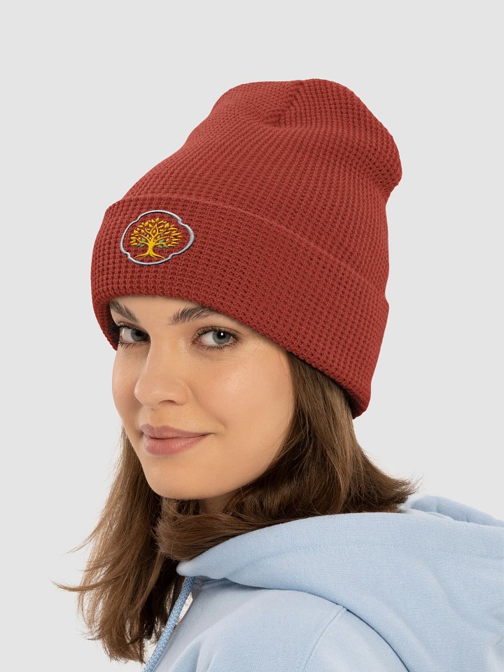 TranceVibz Life Resonates Beanie Collection product image (2)