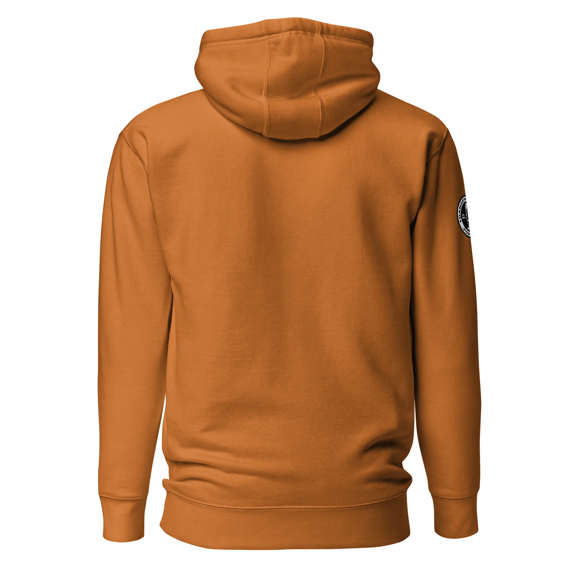 Bigfoot Jesus - inspired by Outcast Premium Hoodie product image (5)