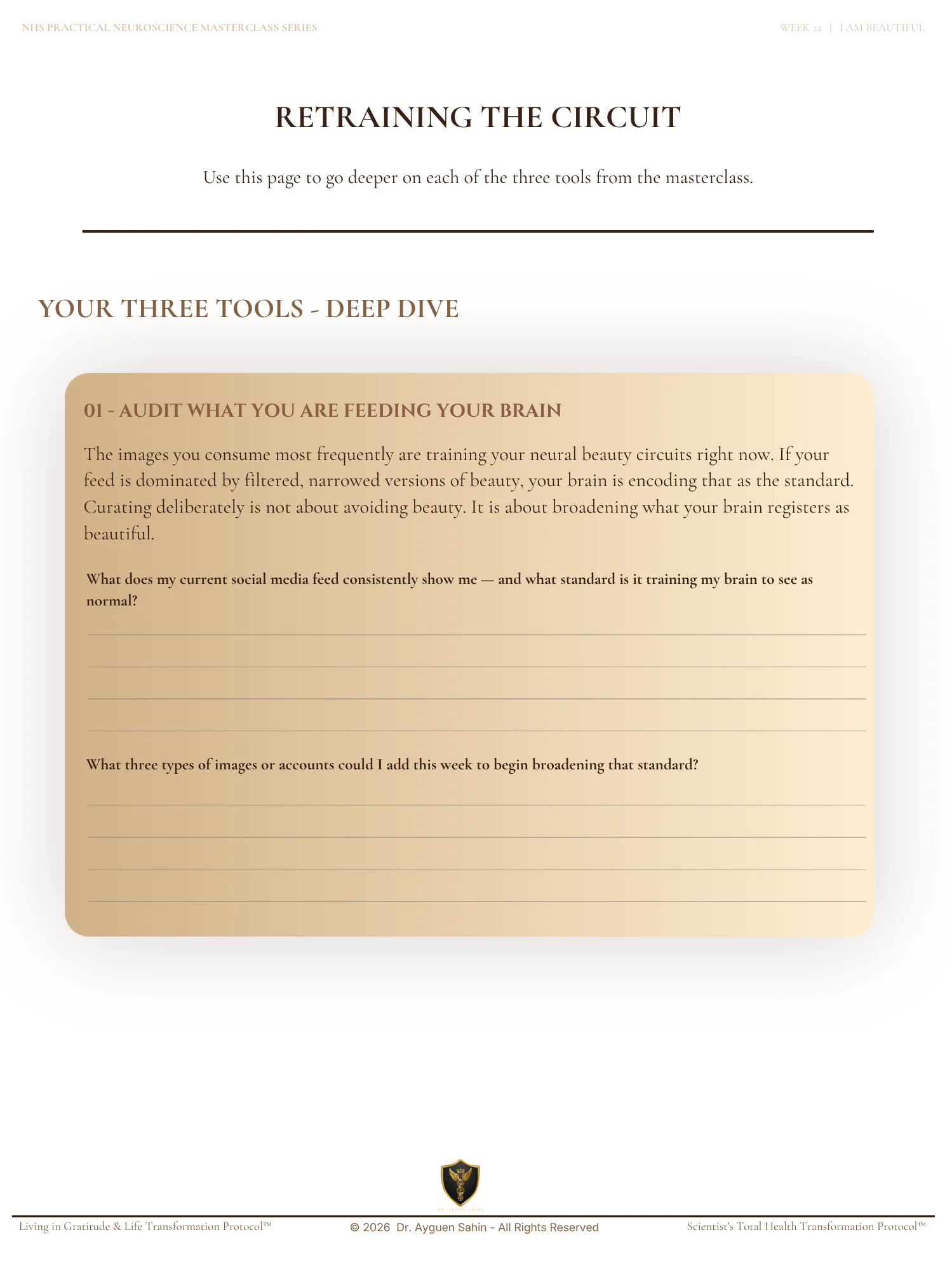 The BEAUTY PERCEPTION AUDIT product image (3)