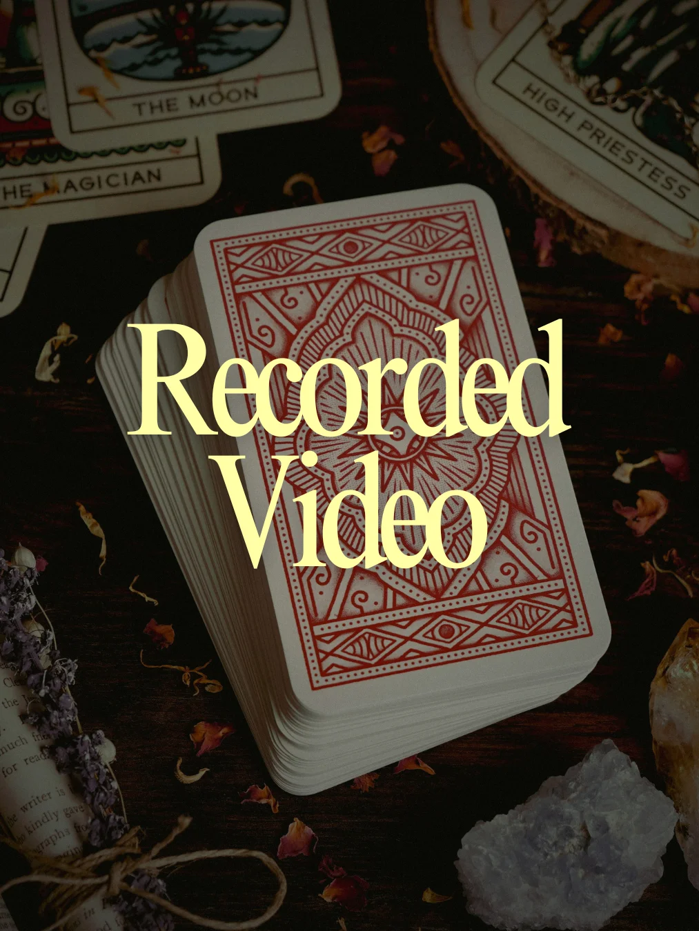 Video Reading product image (1)