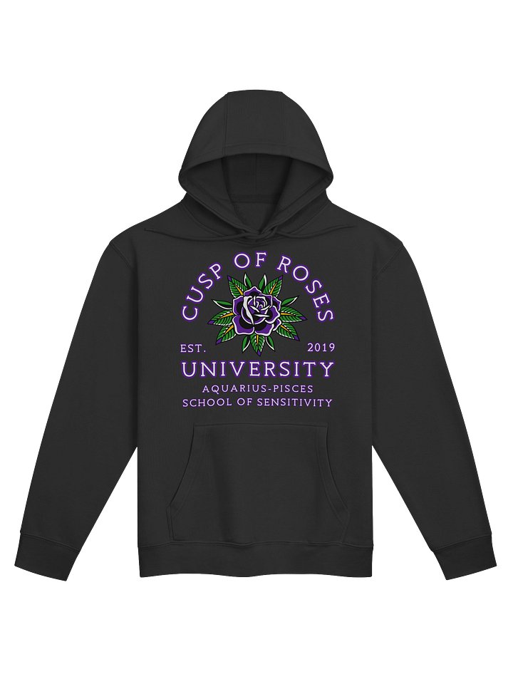 school of sensitivity hoodie product image (1)