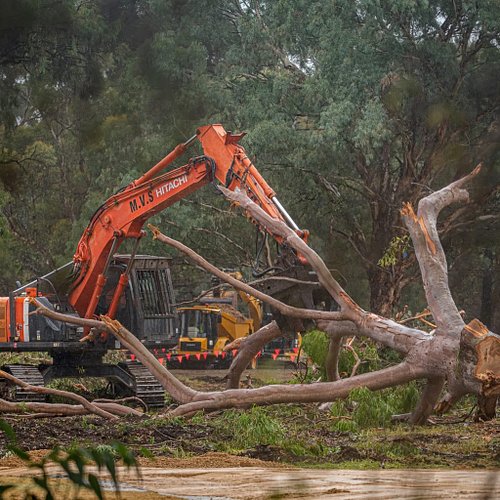 It’s easy to move on when the chainsaws have stopped and the headlines have faded.

But we haven’t forgotten what happened at...