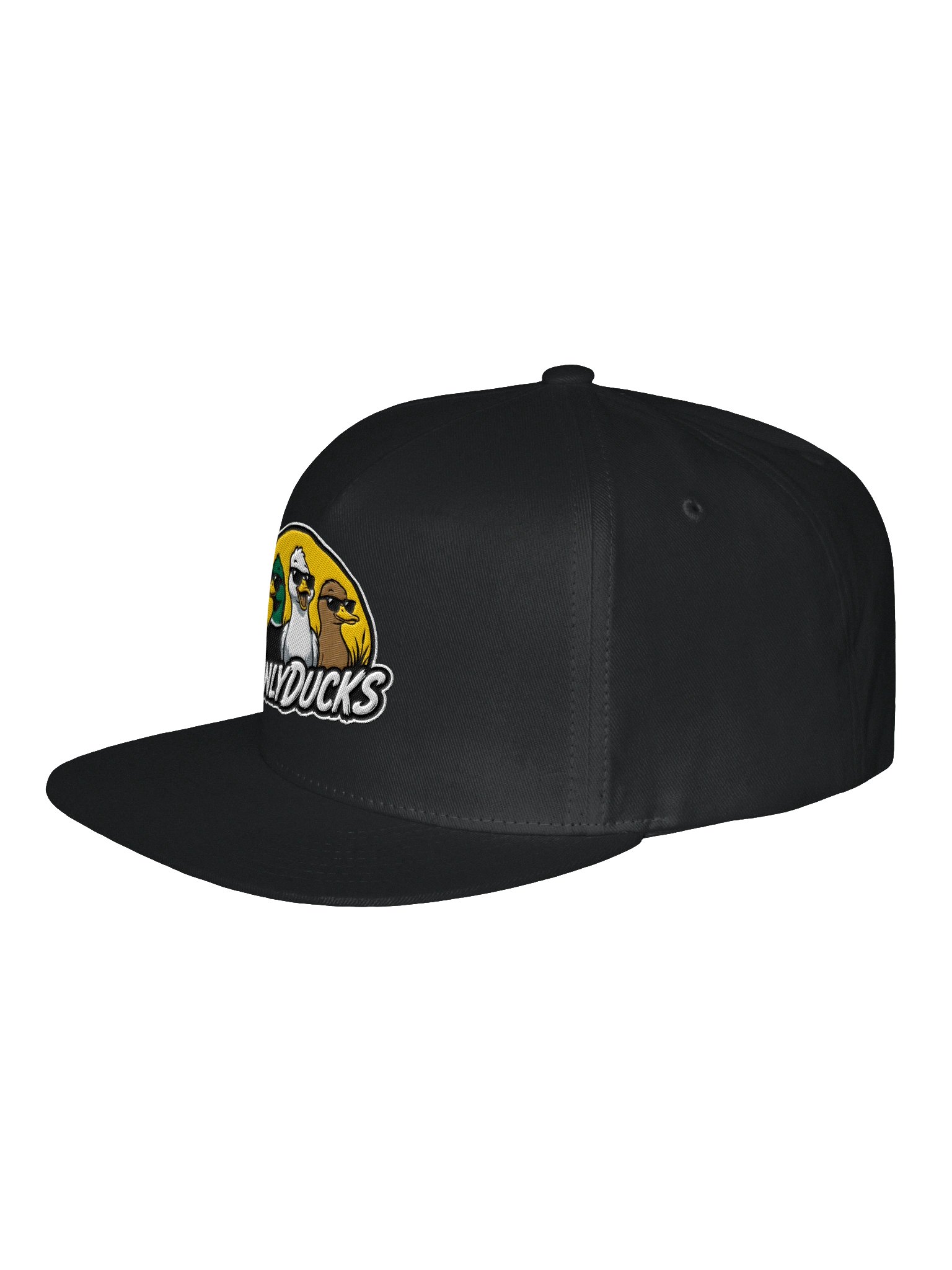 Founding Flock Snapback product image (2)