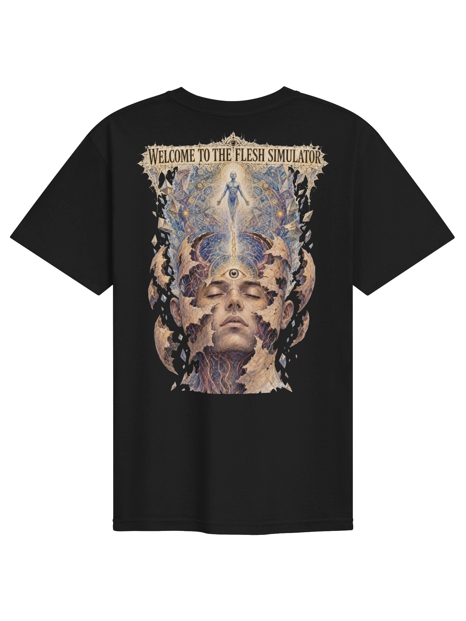 WELCOME TO THE FLESH SIMULATOR (Heavyweight) product image (1)